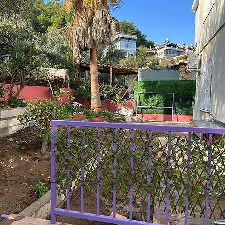 Seaview Castle House Apartment