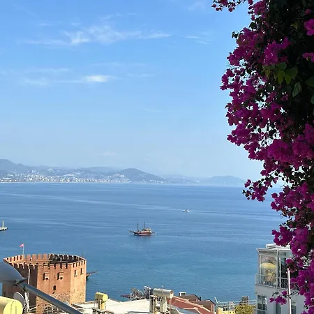 Seaview Castle House Apartment *